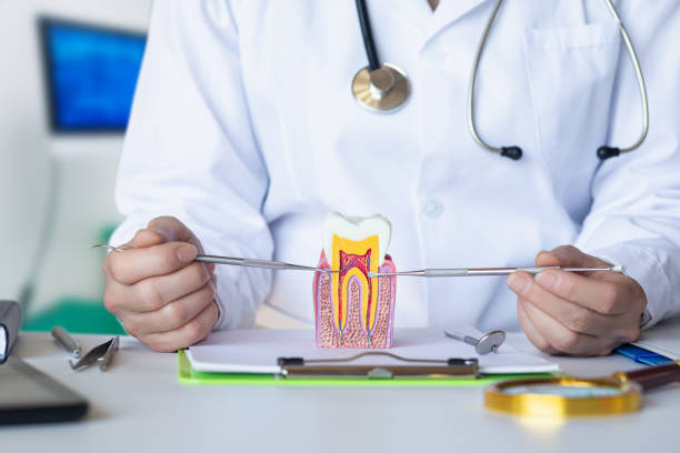 Best Emergency Treatment for Toothache in Mount Healthy, OH